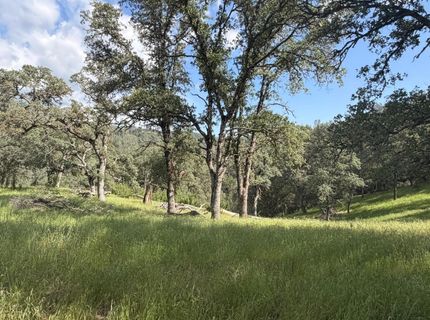 Spring Valley Rd, Plymouth, CA 95669 Photo