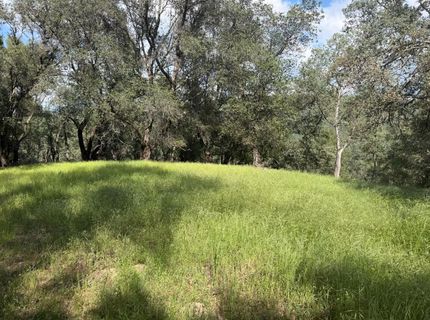 Spring Valley Rd, Plymouth, CA 95669 Photo