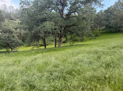 Spring Valley Rd, Plymouth, CA 95669 Photo