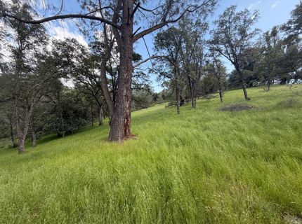 Spring Valley Rd, Plymouth, CA 95669 Photo