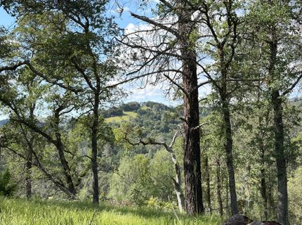 Spring Valley Rd, Plymouth, CA 95669 Photo