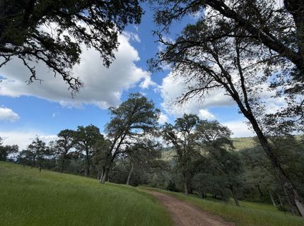 Spring Valley Rd, Plymouth, CA 95669 Photo