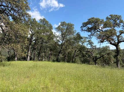 Spring Valley Rd, Plymouth, CA 95669 Photo