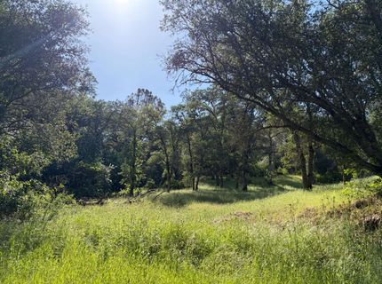 Spring Valley Rd, Plymouth, CA 95669 Photo