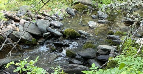 Spring Valley Rd, Plymouth, CA 95669 Photo