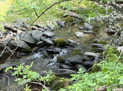 Spring Valley Rd, Plymouth, CA 95669 Photo