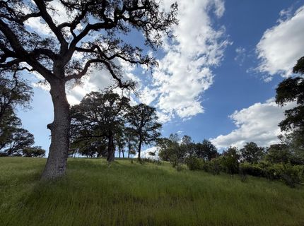 Spring Valley Rd, Plymouth, CA 95669 Photo