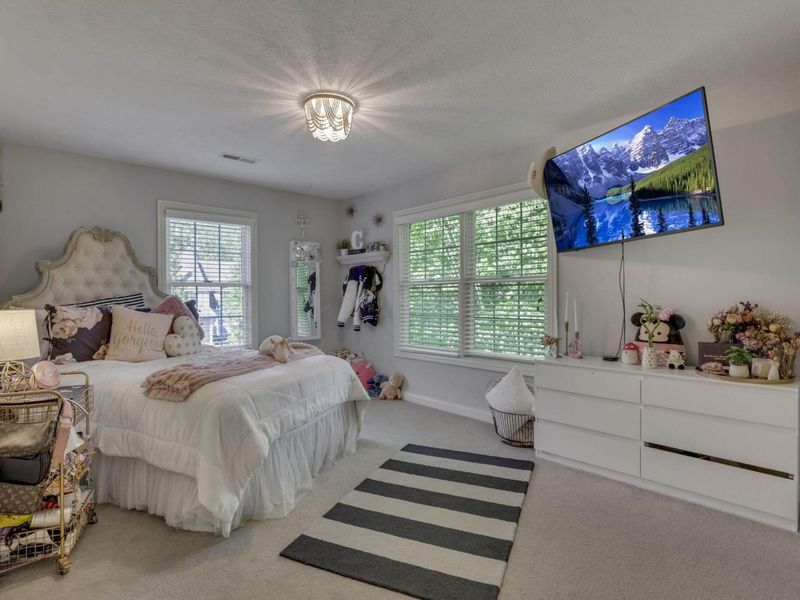 7097 Pleasant Colony Circle, Blacklick, OH 43004 Photo 65