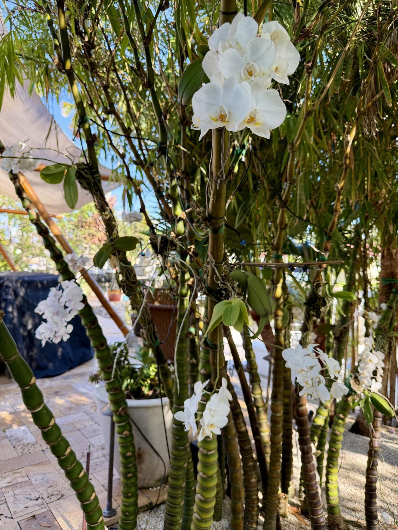 712 Forsyth Street, Boca Raton, FL 33487 Photo