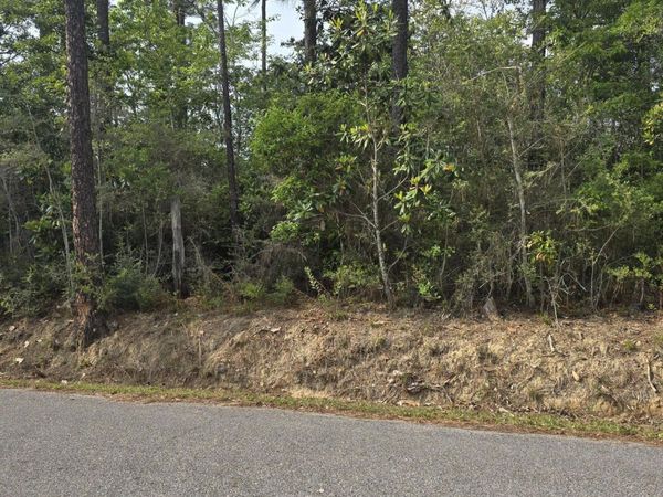 Summerlin Bayou Road, Vancleave, MS 39565