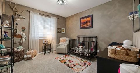 3900 Amy Road, Reno, NV 89510 Photo