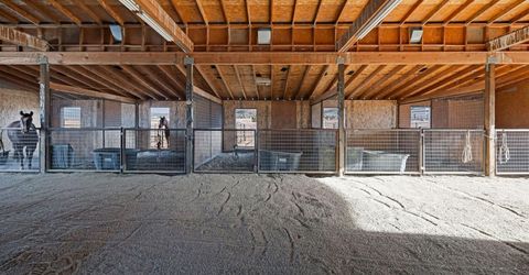 3900 Amy Road, Reno, NV 89510 Photo