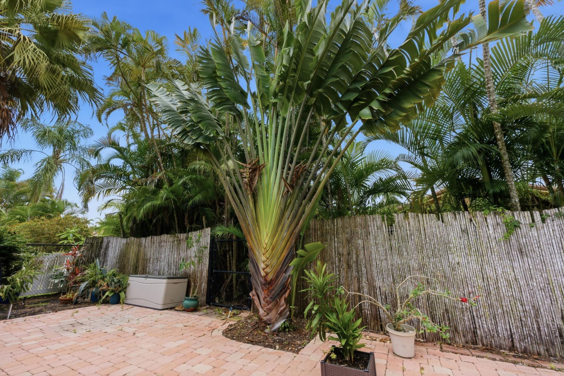 10740 NW 19th Street, Coral Springs, FL 33071 Photo