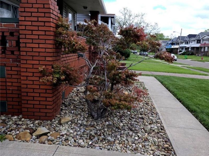 9913 Greenview Avenue , Garfield Heights, OH 44125 Photo 6