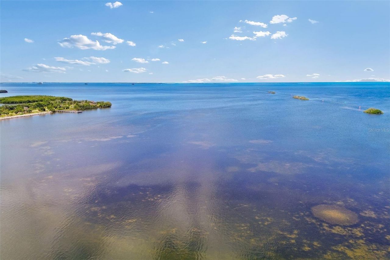 300 Driftwood Drive W, Palm Harbor, FL 34683 Photo