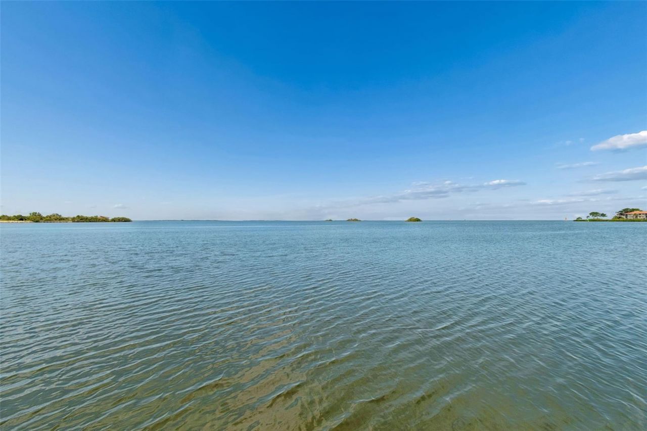 300 Driftwood Drive W, Palm Harbor, FL 34683 Photo