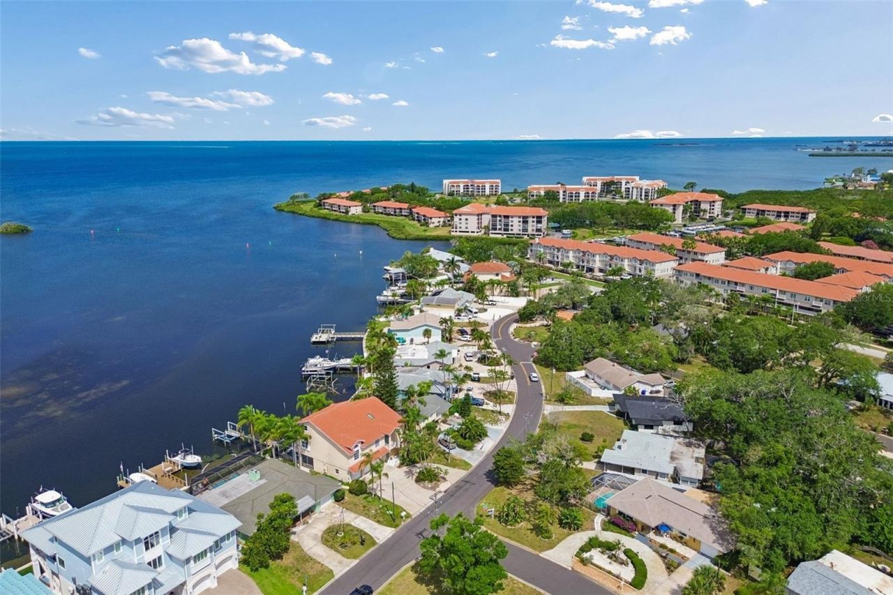 300 Driftwood Drive W, Palm Harbor, FL 34683 Photo