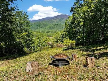 93 HONEY LOCUST LN , Nellysford, VA 22958