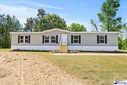 4043 Lake Swamp Rd photo 4