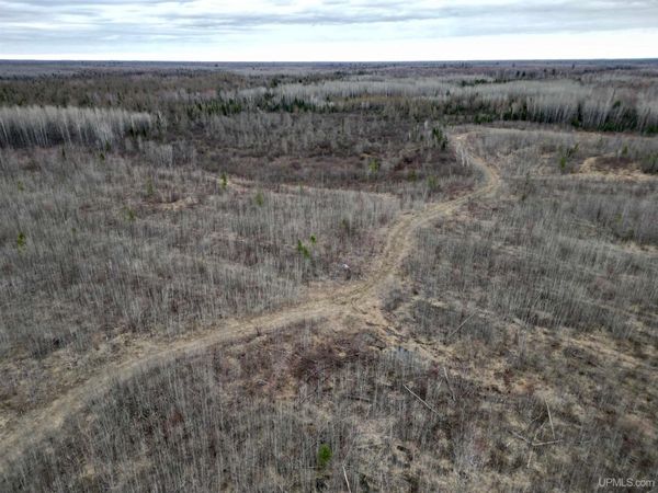 TBD North Rock RD 80 Road, Maple Ridge Twp, MI 49880