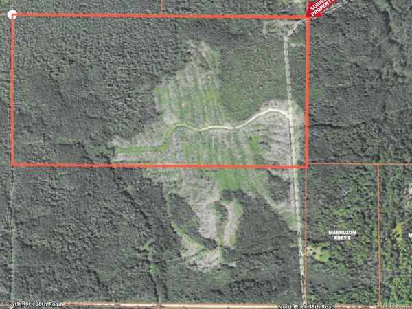 TBD North Rock RD 80 Road, Maple Ridge Twp, MI 49880