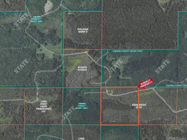 TBD Off CR 557 40 Road, Wells Twp, MI 49819