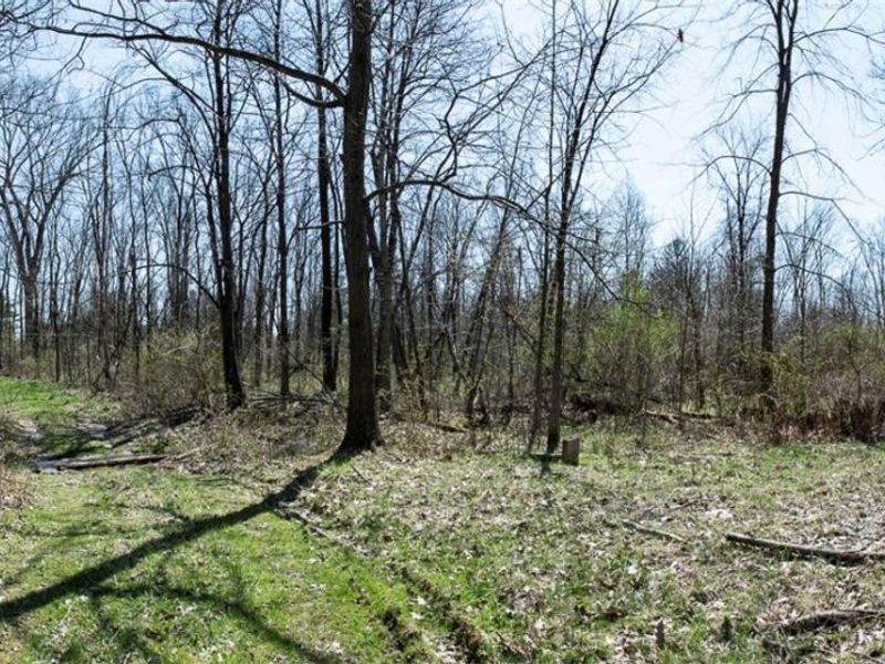 VL Drake Road , Strongsville, OH 44149 Photo 10