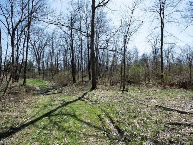 VL Drake Road , Strongsville, OH 44149 Photo 11