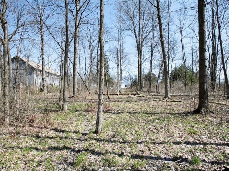 VL Drake Road , Strongsville, OH 44149 Photo 12