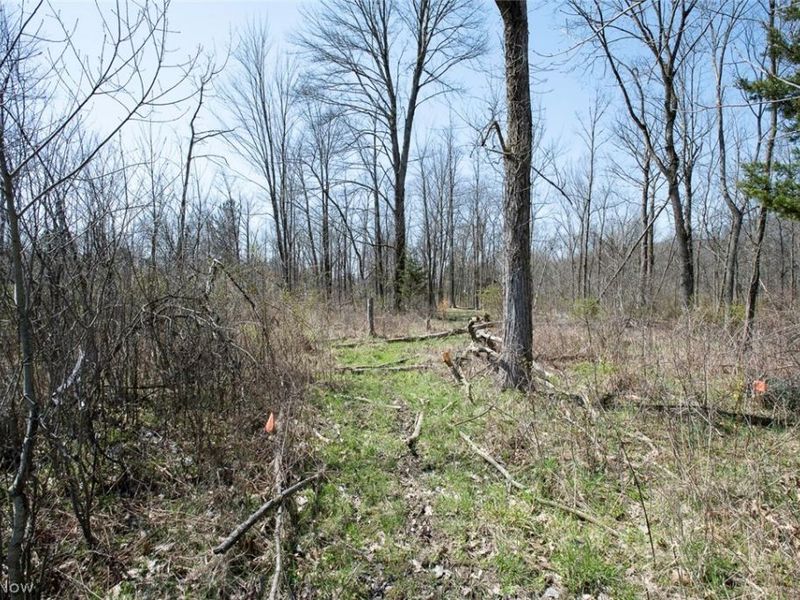 VL Drake Road , Strongsville, OH 44149 Photo 13