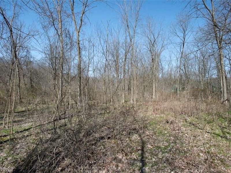 VL Drake Road , Strongsville, OH 44149 Photo 14