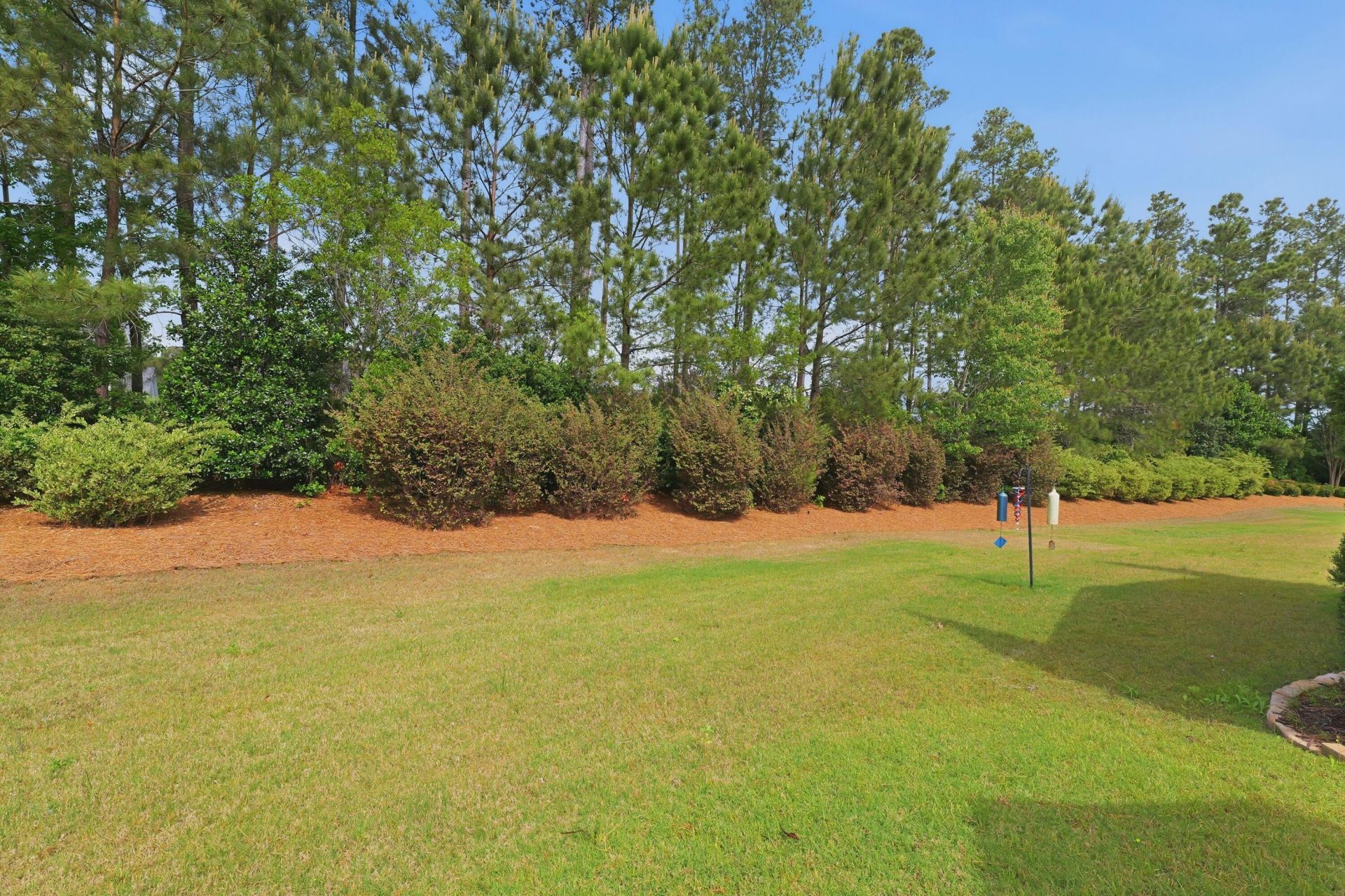 704 Battery Edge Photo 5