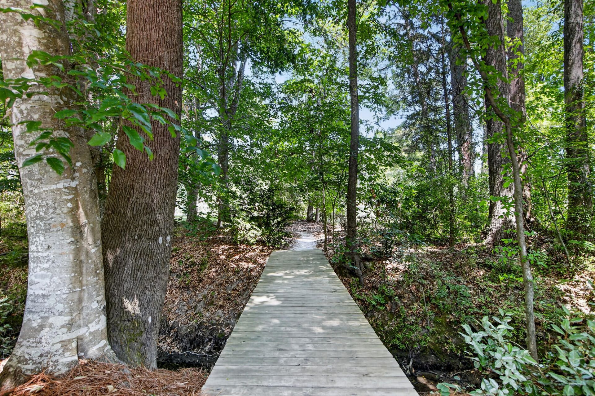 1105 Orangeburg Road Photo 19