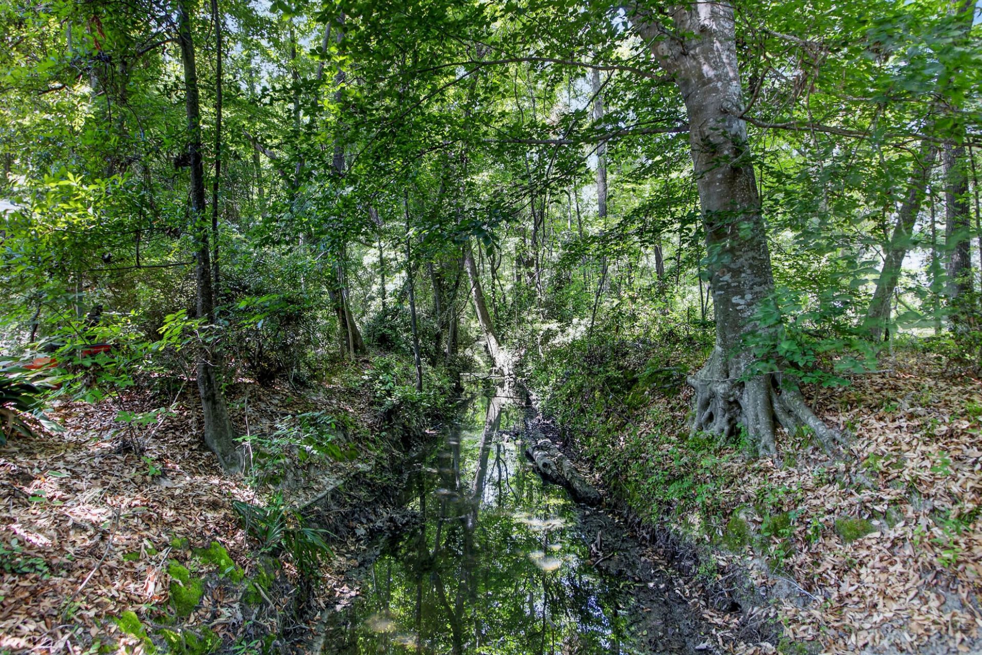1105 Orangeburg Road Photo 20