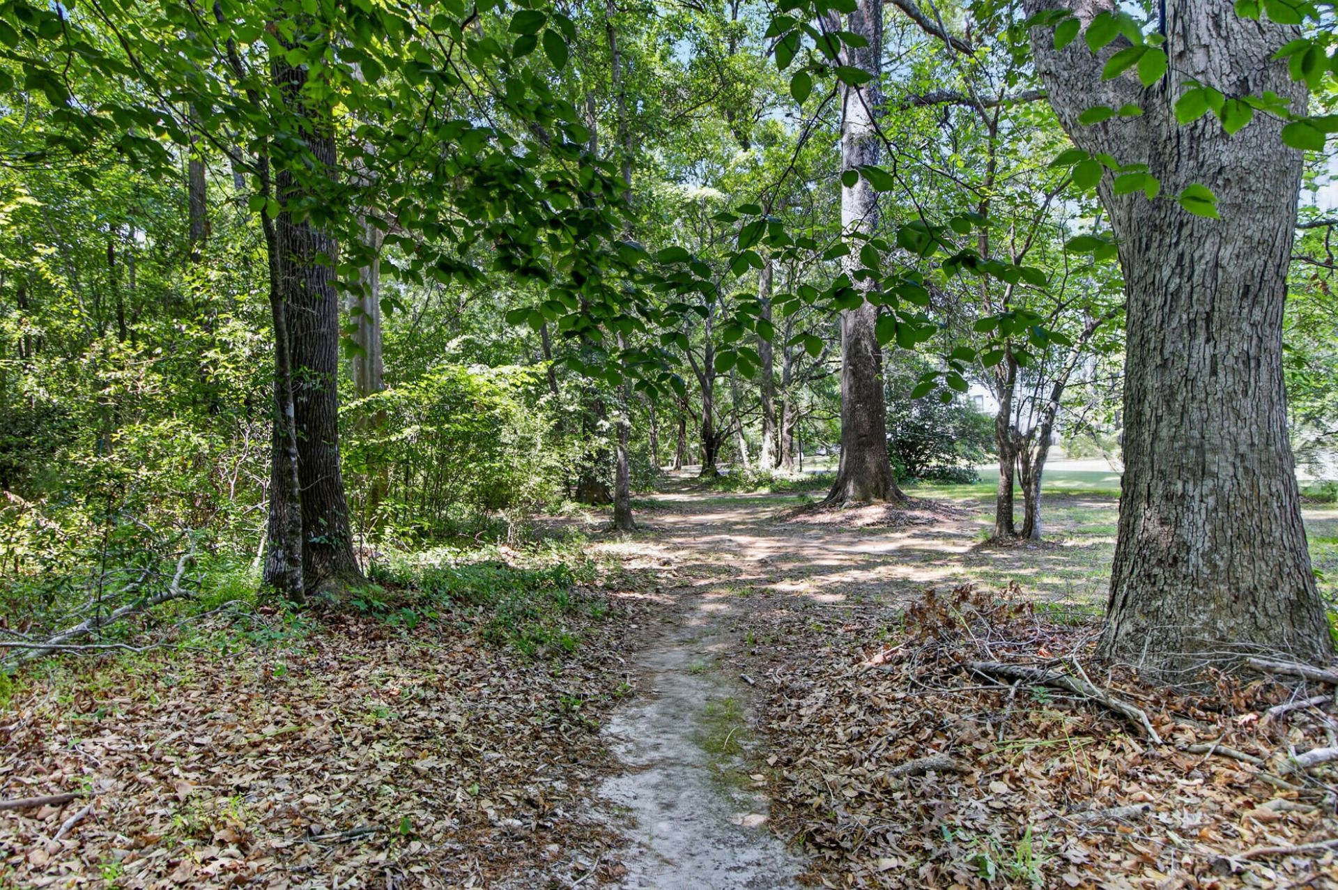 1105 Orangeburg Road Photo 21