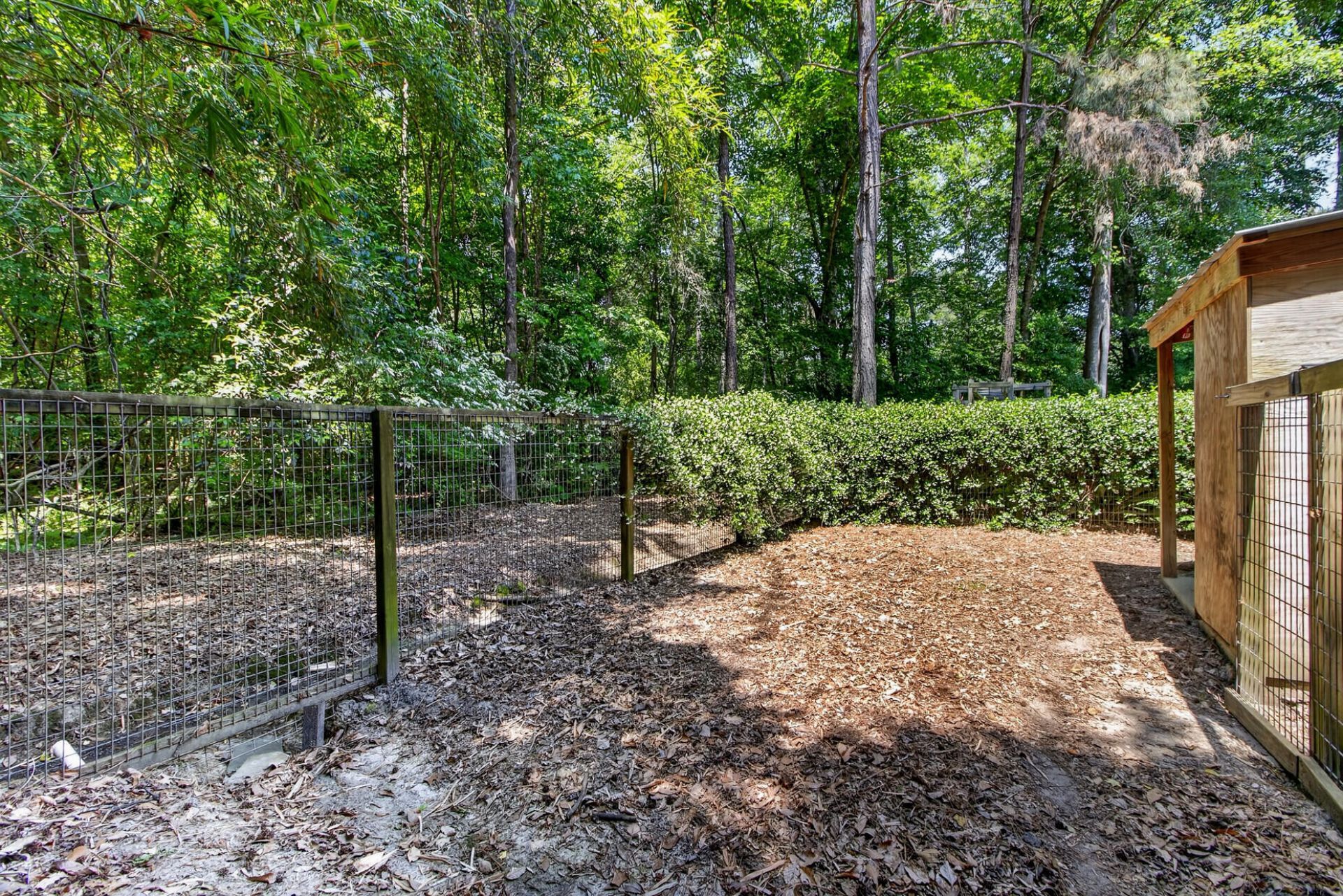 1105 Orangeburg Road Photo 64