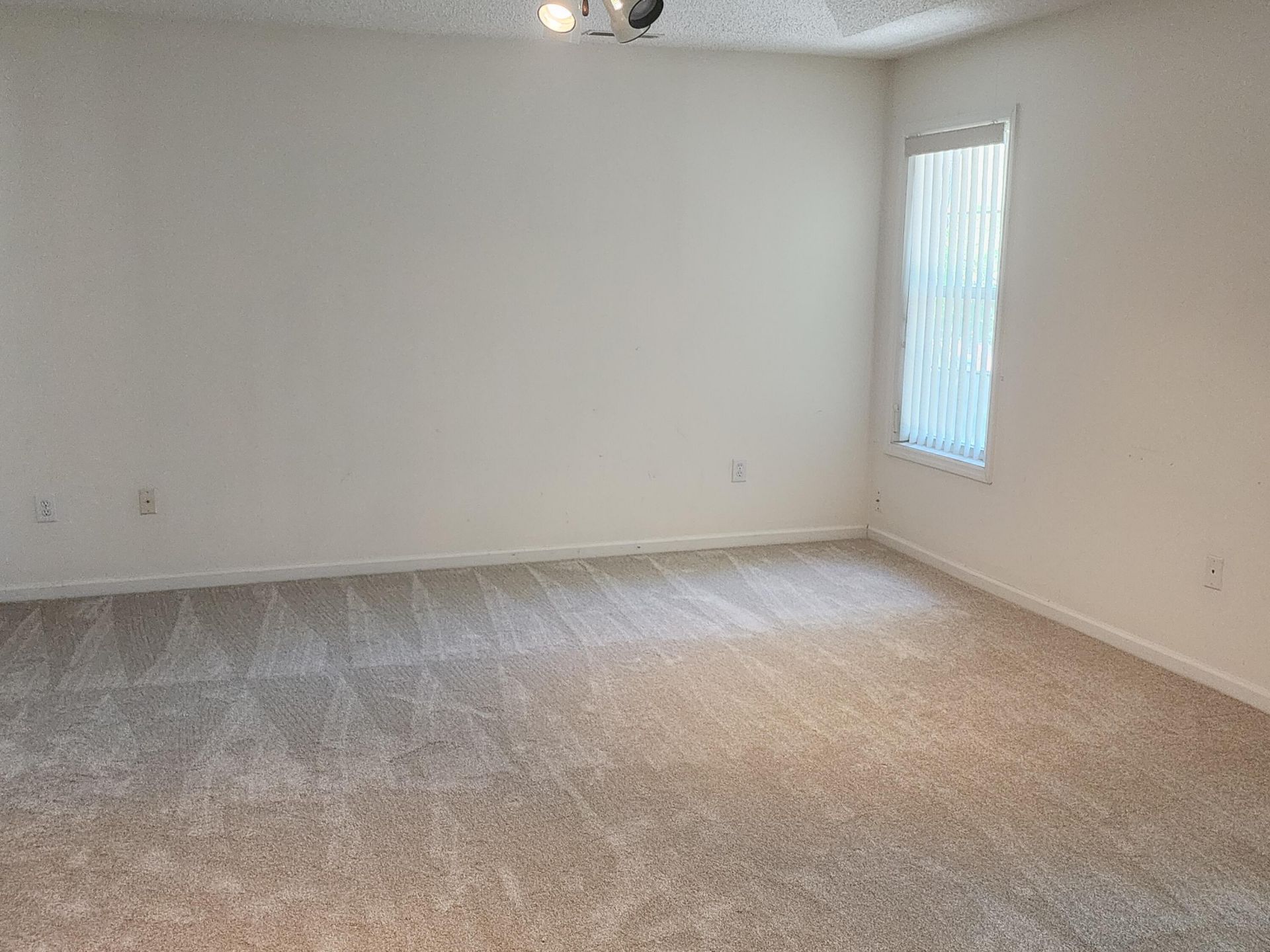 102 Keighley Drive Photo 22