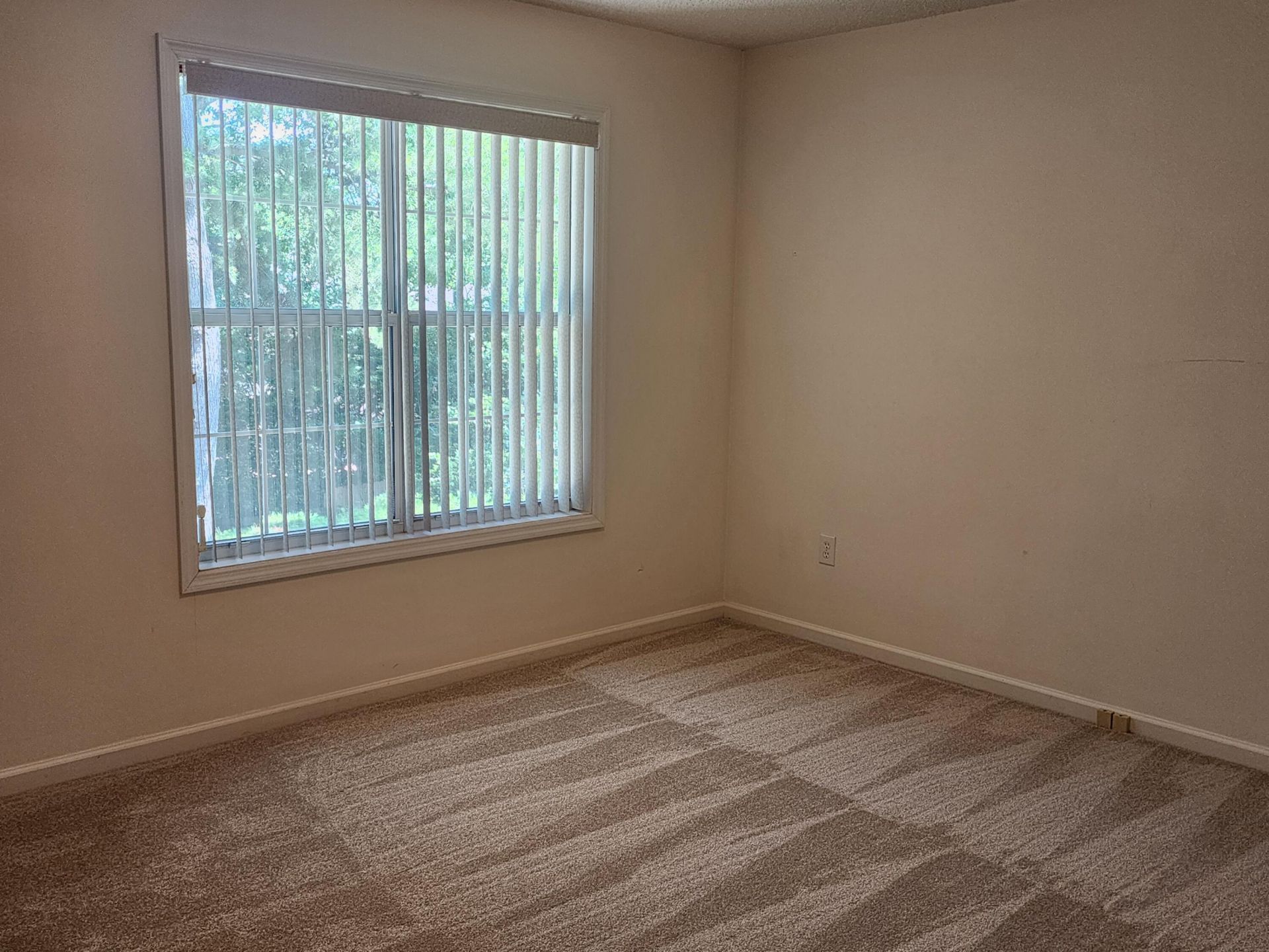102 Keighley Drive Photo 26