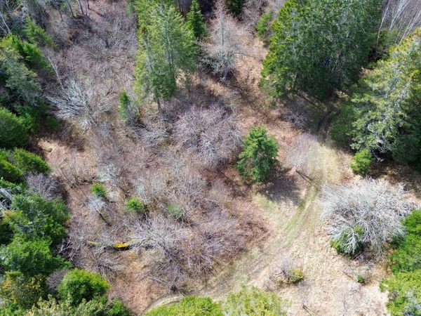 M WA 032 Plan 01 L 101.1, 101.6, 101.7, Trescott Twp, ME 04652