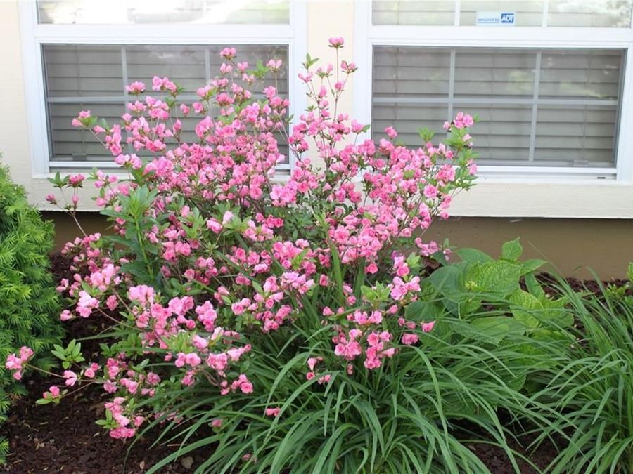 Property Image 55