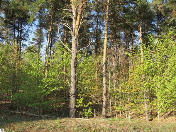 Poneytail Trail, Petoskey, MI 49770