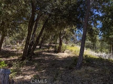 8 N Cedar Vista Cir N, Bass Lake, CA 93604 Photo
