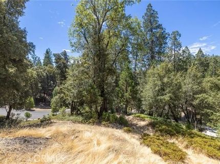 8 N Cedar Vista Cir N, Bass Lake, CA 93604 Photo