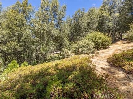 8 N Cedar Vista Cir N, Bass Lake, CA 93604 Photo