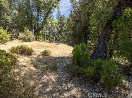 8 N Cedar Vista Cir N, Bass Lake, CA 93604 Photo