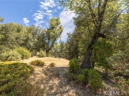 8 N Cedar Vista Cir N, Bass Lake, CA 93604 Photo