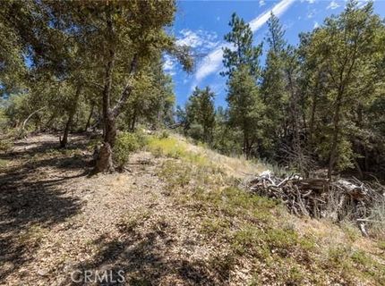 8 N Cedar Vista Cir N, Bass Lake, CA 93604 Photo
