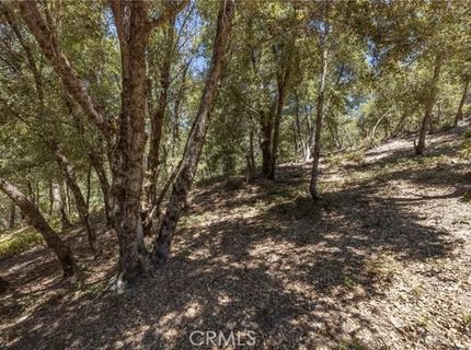 8 N Cedar Vista Cir N, Bass Lake, CA 93604 Photo
