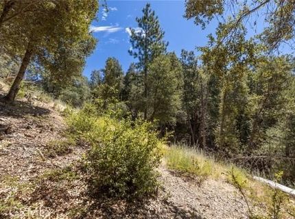 8 N Cedar Vista Cir N, Bass Lake, CA 93604 Photo