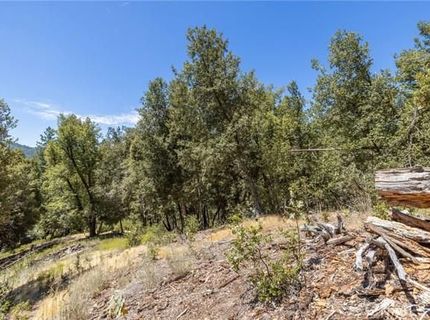 8 N Cedar Vista Cir N, Bass Lake, CA 93604 Photo